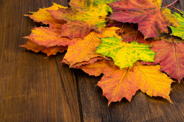 Autumn maple leaves on wooden background