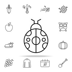 ladybug icon. autumn icons universal set for web and mobile