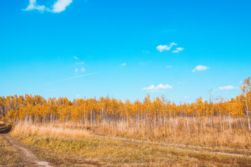 Fototapeta premium Autumn field with old dry grass and dirty roads