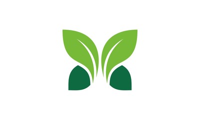 green leaf butterfly