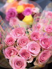 ピンクのバラの花