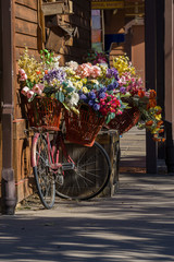 Fototapeta na wymiar flower bike 2