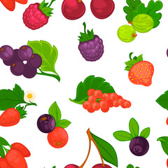 Fruits and berries raspberry and strawberry seamless pattern vector.