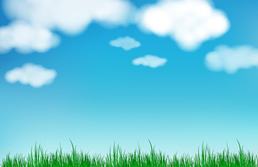 Abstract blue sky blurred gradient background. Nature blurred bokeh background Cloud with grass.