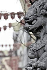Fototapeta premium Chinese New Years