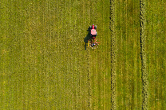 Red tractor windrowing hay, top down aerial view