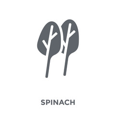 Spinach icon from Fruit and vegetables collection.