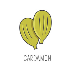 Fototapeta na wymiar cardamon line vector illustration, cooking isolated icon.