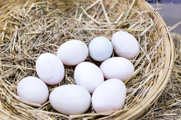 Duck eggs for cooking