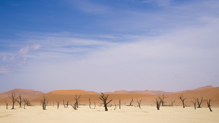 Fototapeta na wymiar Blue sky in desert of Namib. Landscape