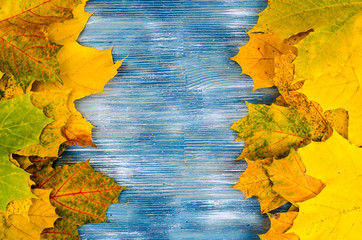 Colorful autumn leaves on blue wooden background