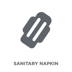 Sanitary napkin icon from  collection.