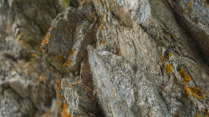 Rocks