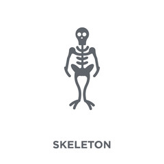 Skeleton icon from  collection.