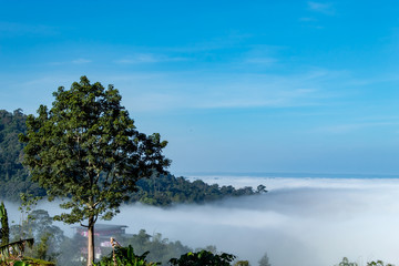 Obraz premium Fog and sun Morning after mountain.