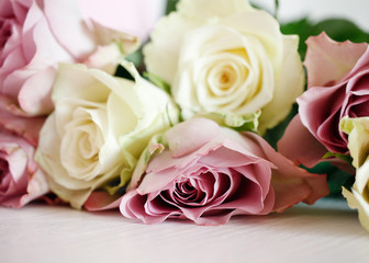 white and lilac roses on a pink wooden background