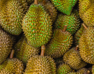 Group of fresh durians in the durian market.