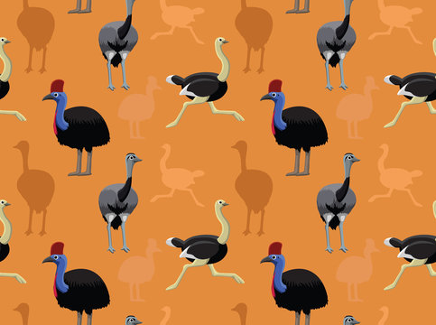 Bird Ostriches Wallpaper