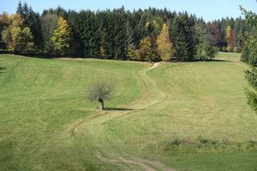 Indian summer In the woods in Beskydy mountains in Czech Republic