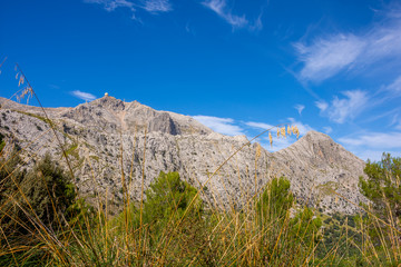 Mallorca, Urlaub, Kakteen, Natur, Wandern