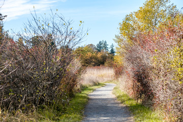 gravel path lead outside bushes in the park under blue sky