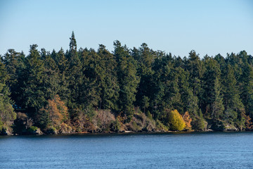 island edge by the water covered in green forest with a hint of autumn colour under blue sky