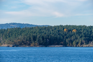 island edge by the water covered in green forest under blue sky