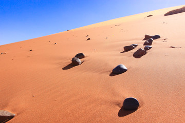 Namib Naukluft national Park / world's largest red sand dunes Namib Naukluft national Park