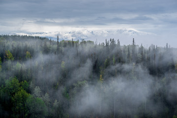 Low Clouds and Snow in the Mountains