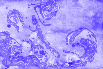 abstract  white blue marble texture, acrylics trendy art