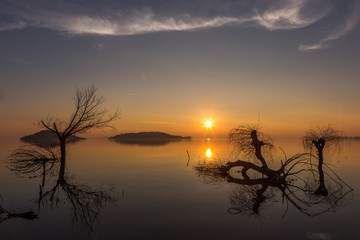 Beautiful sunset at Trasimeno lake (Umbria), with perfectly still water, skeletal trees, sun low on the horizon and beautiful warm colors