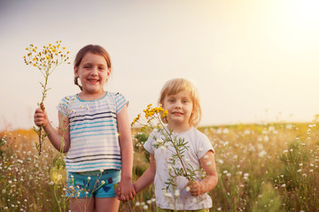 little sisters  on summer meadow.