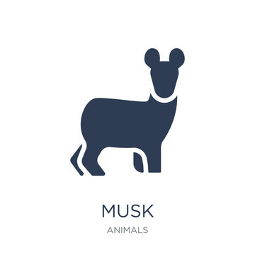 Musk icon. Trendy flat vector Musk icon on white background from animals collection