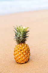 Pineapple on pink sand