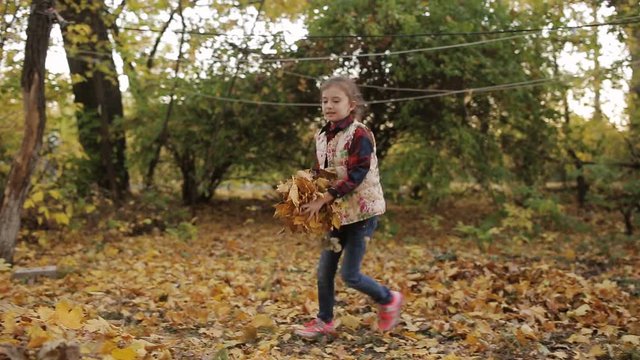 A little girl puts yellow leaves in a big pile.