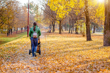 Fototapeta premium Mother wheeling a pram in the Park 