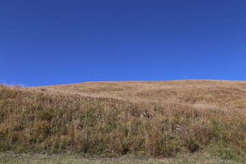 Obraz premium 白樺湖の秋景色