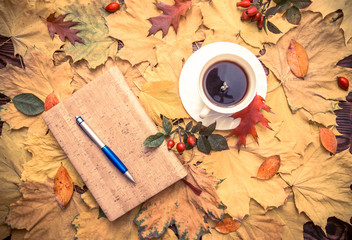 Naklejka na ściany i meble Autumn background-a Cup of coffee and a notebook lying on yellow leaves