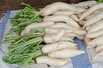 White radish