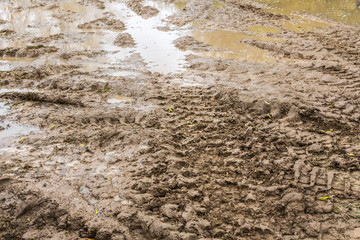 Tire tracks on a wet muddy road