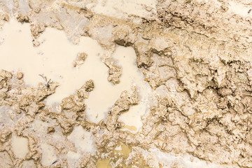 Tire tracks on a wet muddy road
