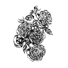 Beautiful graphic bouquet with flowers rose  