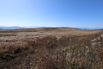 霧ヶ峰高原