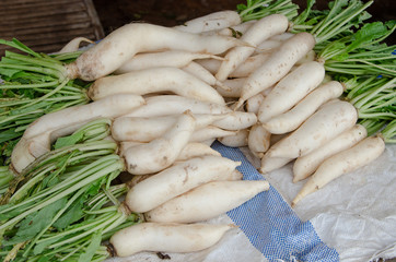 White radish