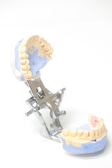 set of the false teeth