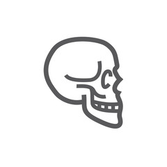 Skull line icon. Vector illustration for websites.