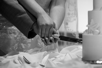 Cutting Wedding Cake