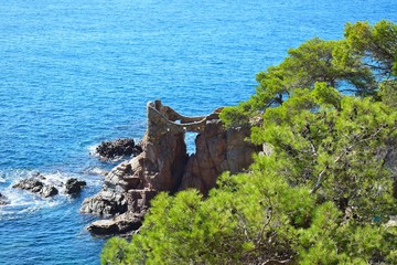 The ruins of the castle on the rock among the green pine trees and the sea in the background.