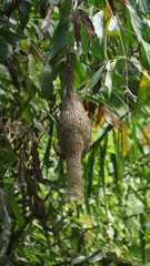 Kuala Lumpur Bird Park surrounding