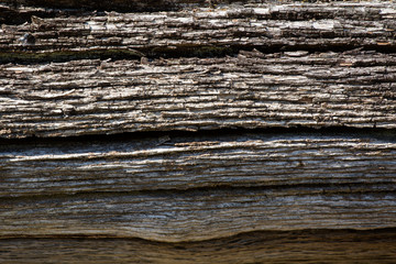 Naklejka premium Wooden texture background